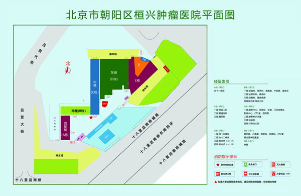 男女生操逼视频网站进入北京市朝阳区桓兴肿瘤医院平面图